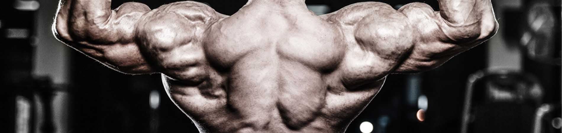 Blog 25 Lats and Pecs When Getting Older