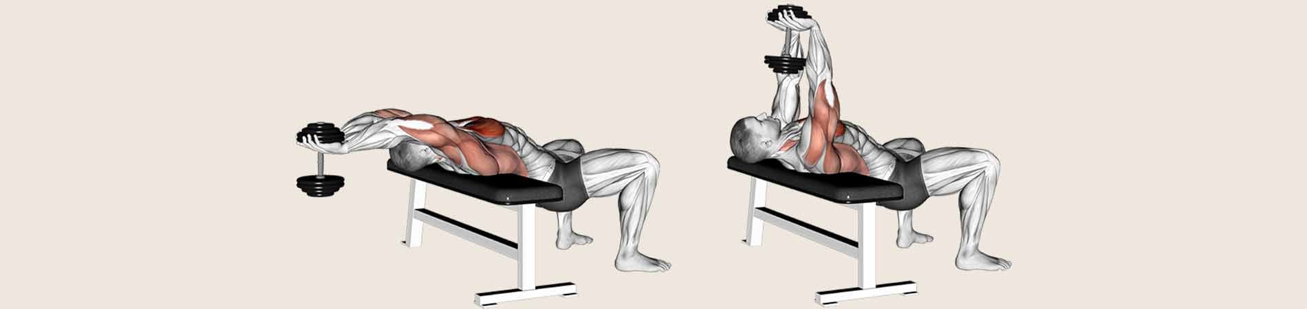 Which muscles are worked with dumbbell pullovers